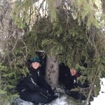 tree shelter